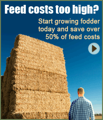 Feed costs too high?