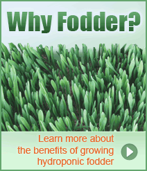 Why fodder?